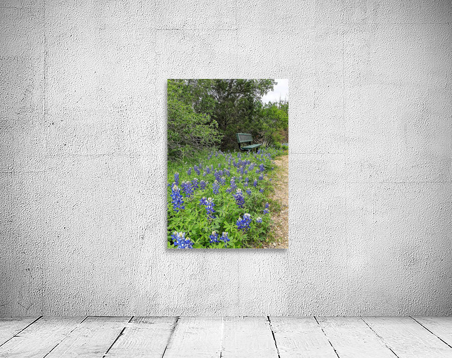 Bluebonnets and Bench on Path Wall Preview