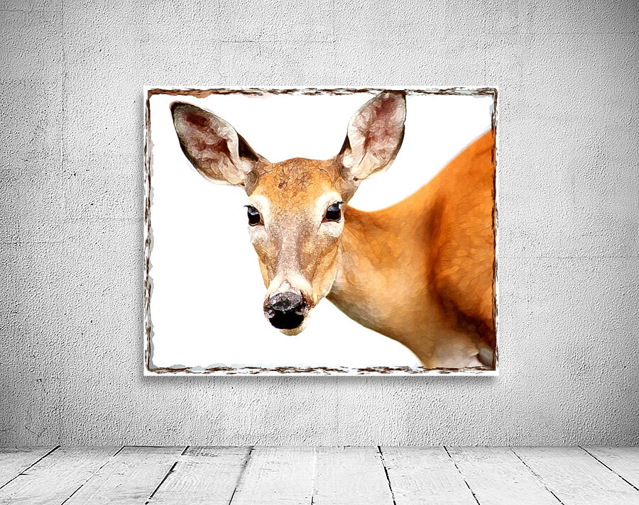 Oh Deer  Wall Preview