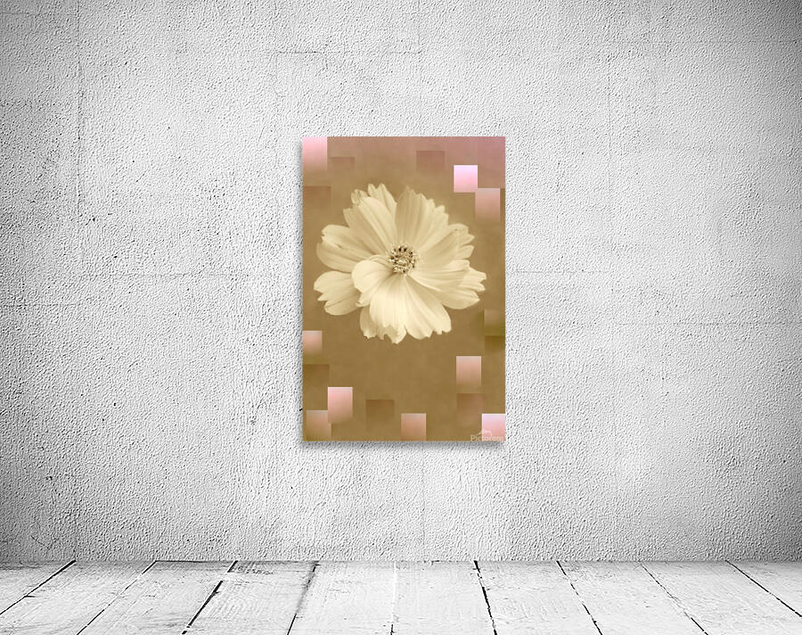 Geometric Sepia Flower Wall Preview