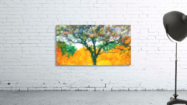 Gauzy Fall Trees Yellow Wall Preview