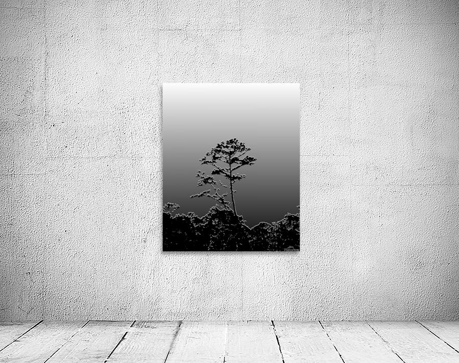 Plastered Tree in gradation Wall Preview