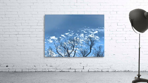 Branches and Cloud Puffs Wall Preview