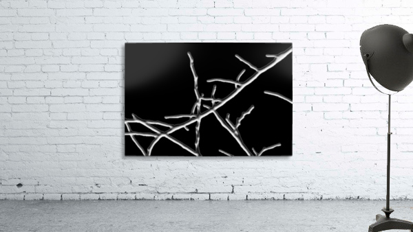 Plaster Kisses Wall Preview