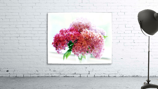 Hydrangea Accented  Wall Preview