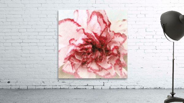 Carnation Soft Wall Preview