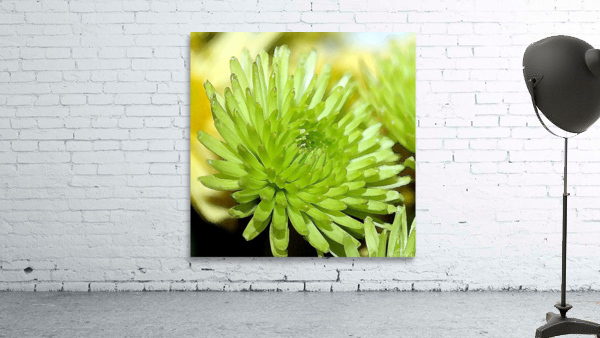 Green Flower WC Wall Preview