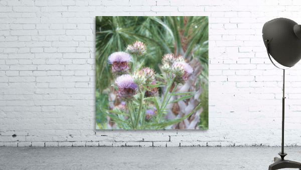 Spiky  Violet Flowers Wall Preview