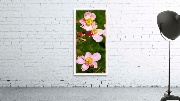 Pretty in Pink Wall Preview