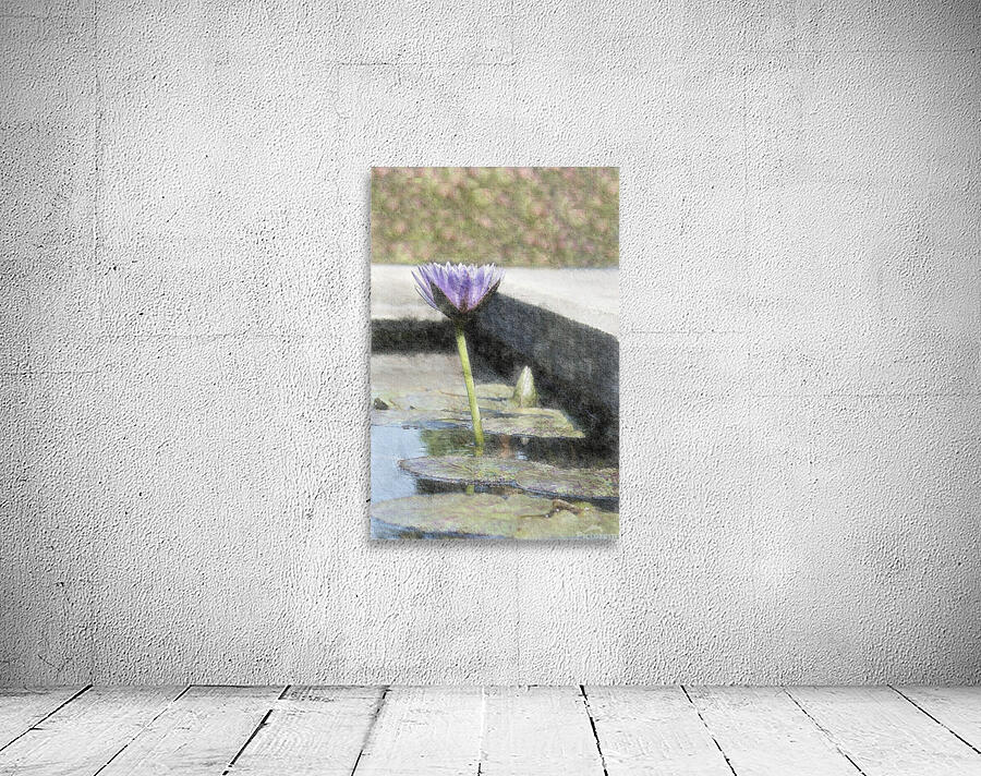 Water Lily Wall Preview