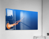 Lone Jellyfish Acrylic Print