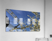 London Eye Acrylic Print