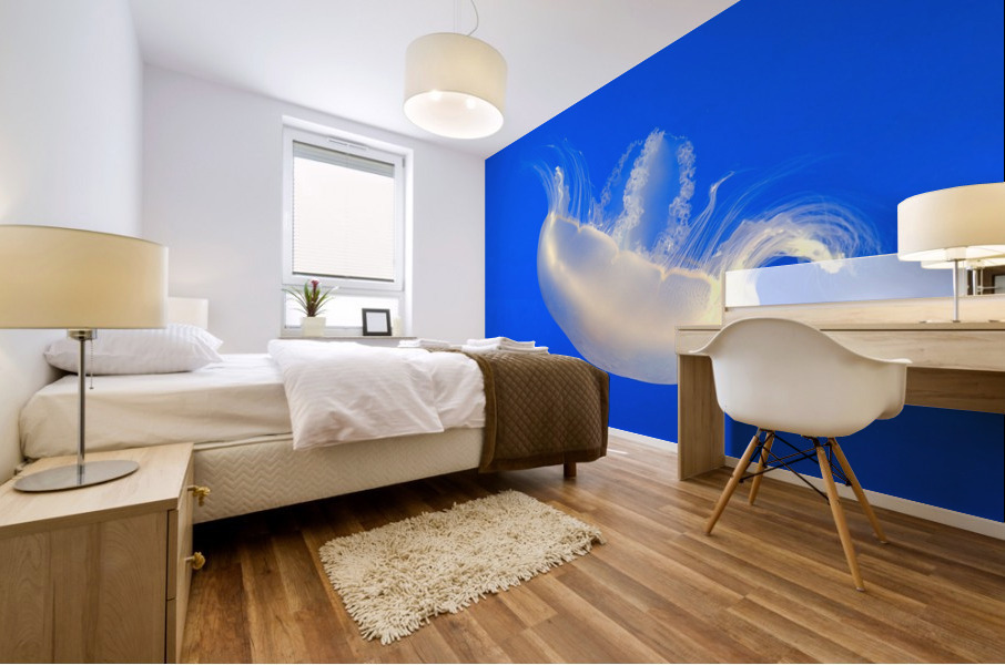 Pale Jellyfish Mural print
