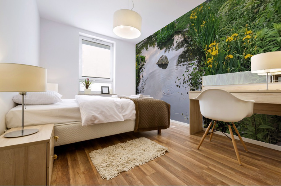 Peaceful Stream Mural print
