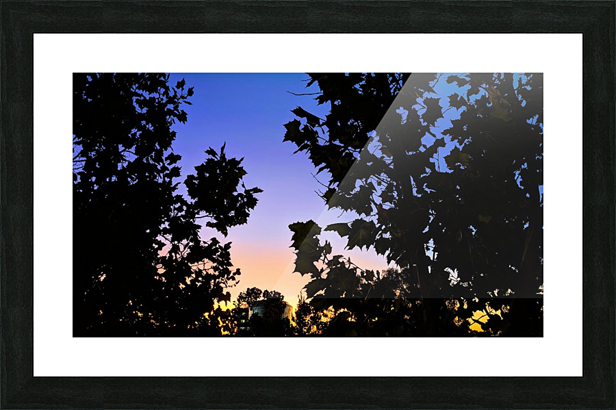 Through the Leaves Picture Frame print