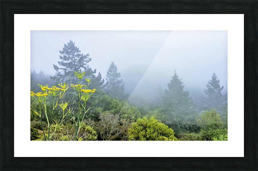 Foggy Mountaintop Picture Frame print