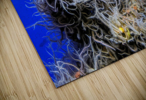 Underwater Mop LARose Photographs puzzle