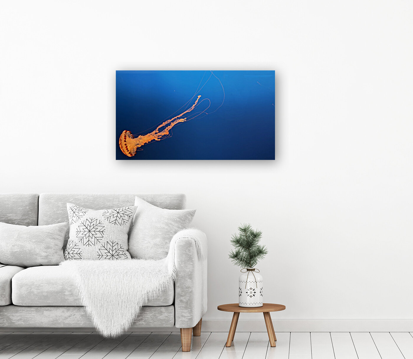 Lone Jellyfish Reproduction