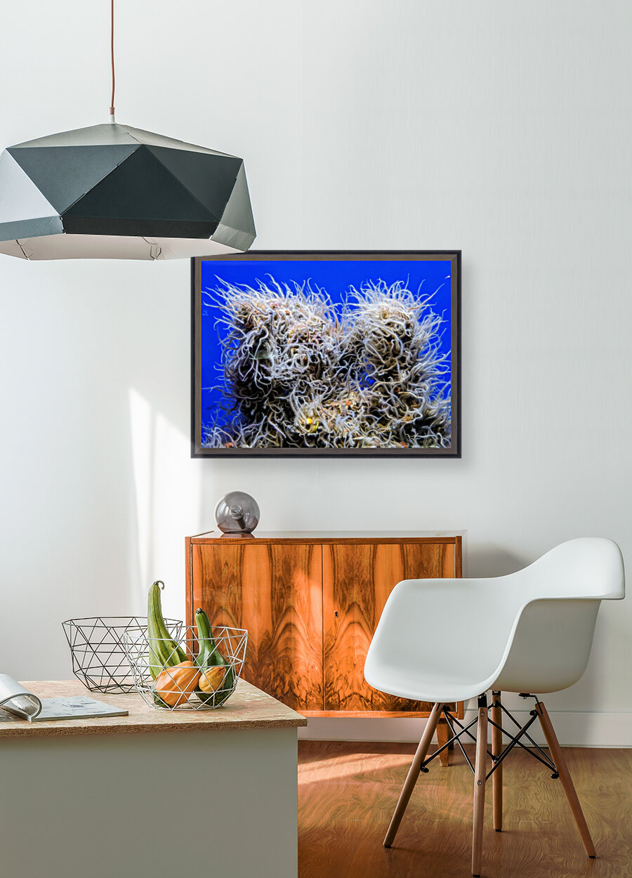 Underwater Mop Reproduction