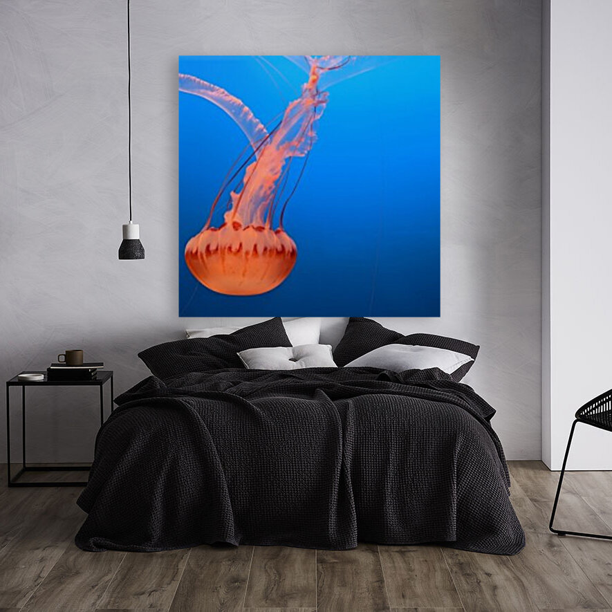 Bright Jellyfish Reproduction