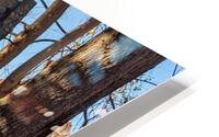 Atlanta Skyline HD Metal print