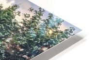 Peaceful Stream HD Metal print