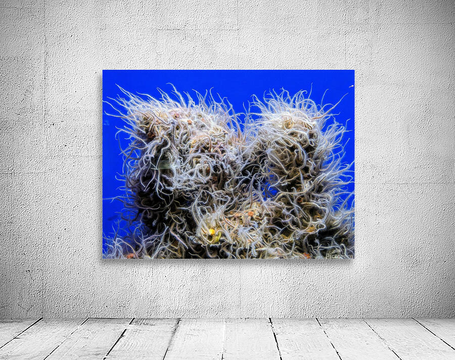 Underwater Mop Wall Preview