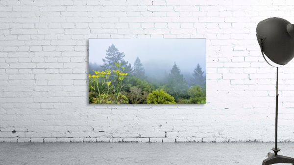 Foggy Mountaintop Wall Preview