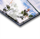 PML Shots Acrylic print