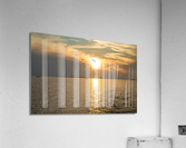 PML 6603 Acrylic Print