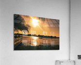 wangu 124 Acrylic Print