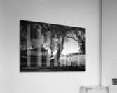 PML 17 Acrylic Print