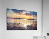 PML Shots Acrylic Print