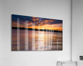 PML Shots Acrylic Print