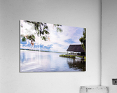 PML Shots Acrylic Print