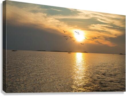 PML 6603 Canvas Print