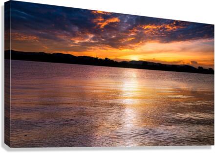 PML Shots Canvas Print