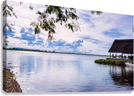 PML Shots Canvas Print