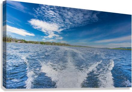 Waves Canvas Print