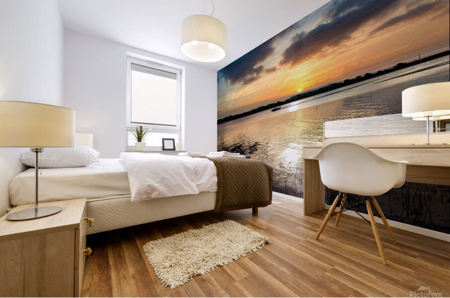 PML Shots Mural print