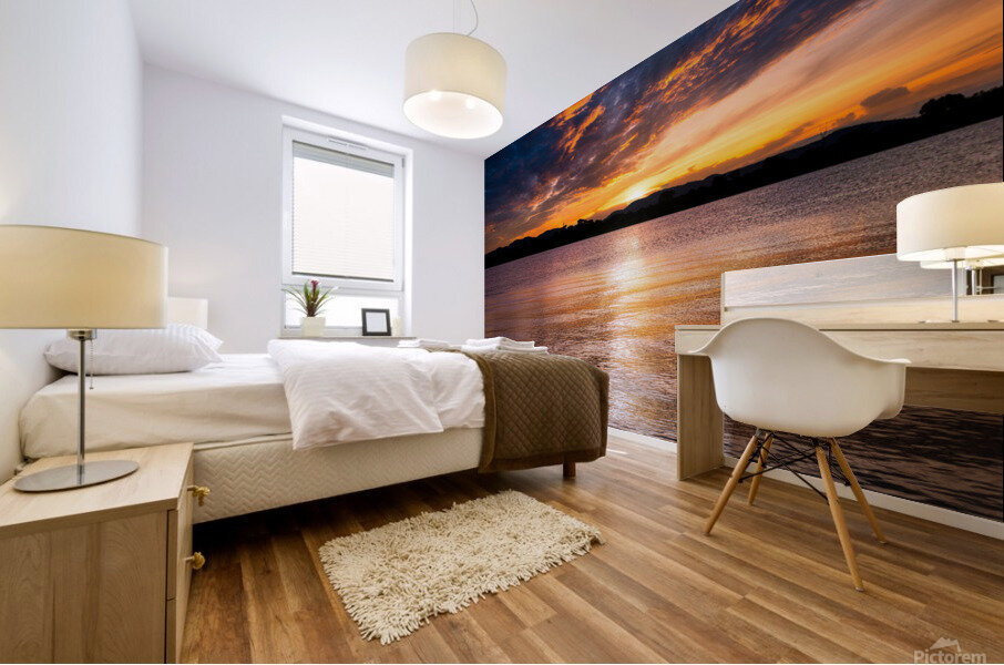 PML Shots Mural print