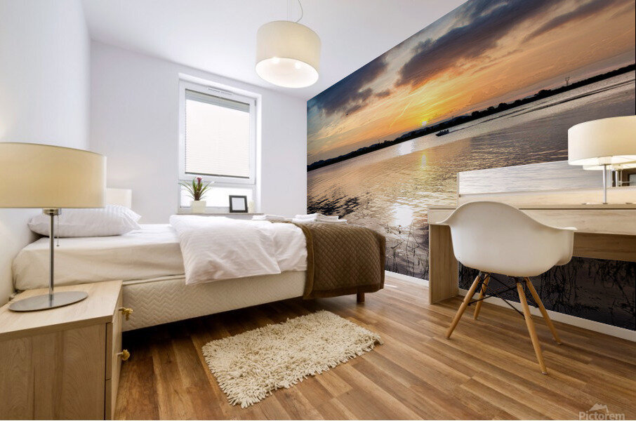 PML Shots Mural print