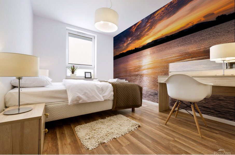 PML Shots Mural print
