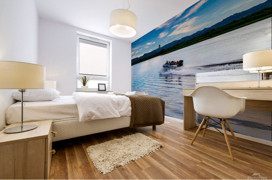 PML Shots Mural print