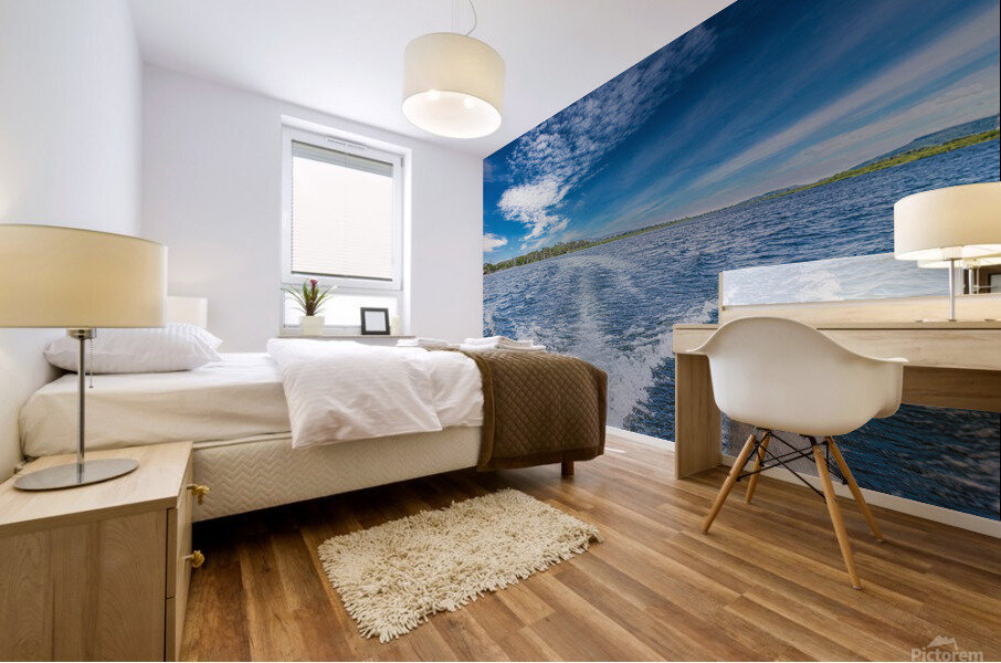 Waves Mural print