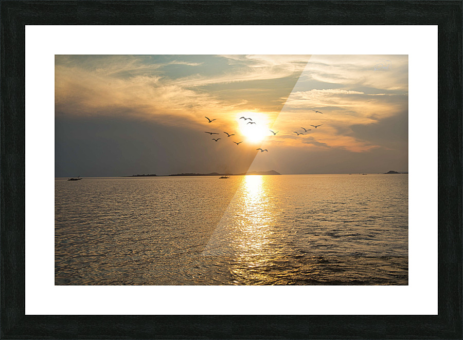 PML 6603 Picture Frame print