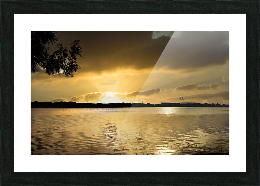 IMG 2120 Picture Frame print