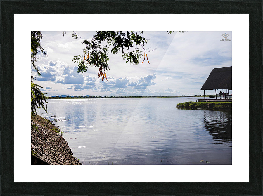 IMG 1930 Picture Frame print