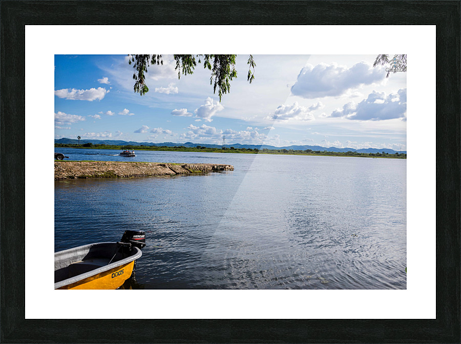 IMG 1966 Picture Frame print