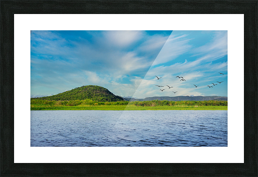 IMG 1980 Picture Frame print