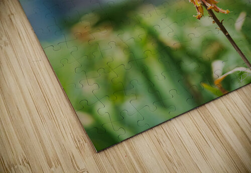 PML 9859 PML Photography puzzle